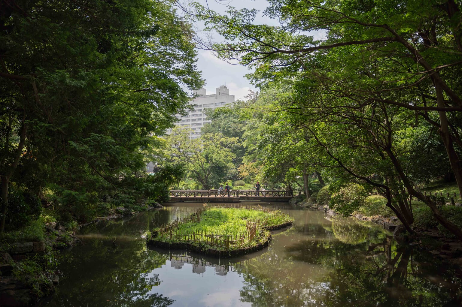 Arisugawa Memorial Park hiroo