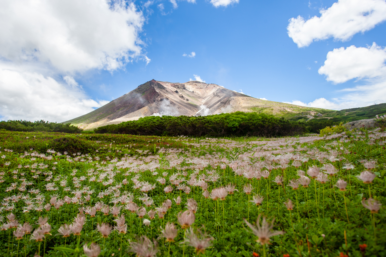 Japan Hiking Guide: Top Spots from Hokkaido to Okinawa