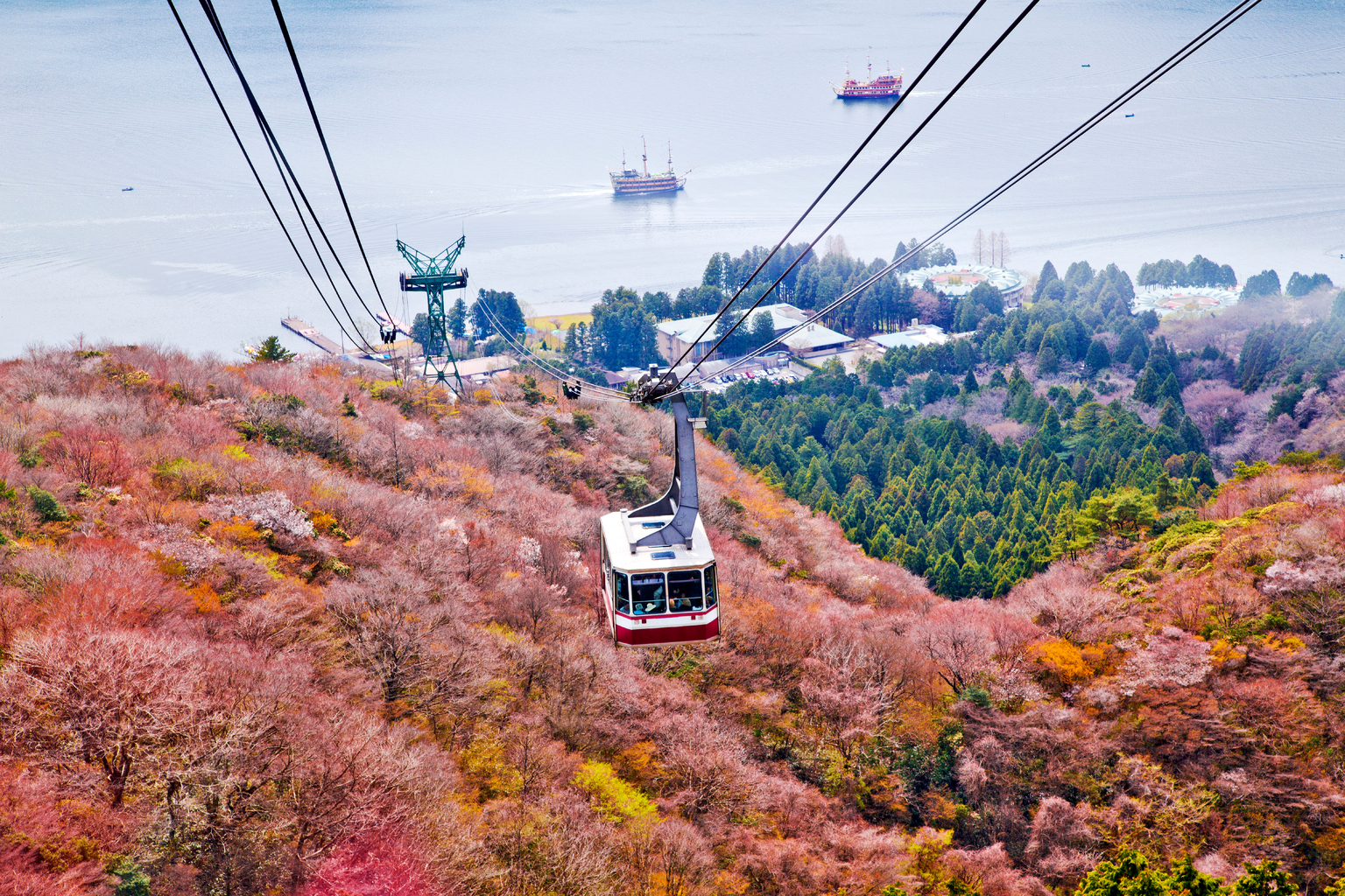 8 Day Trips from Tokyo Ideas: Fall 2022 