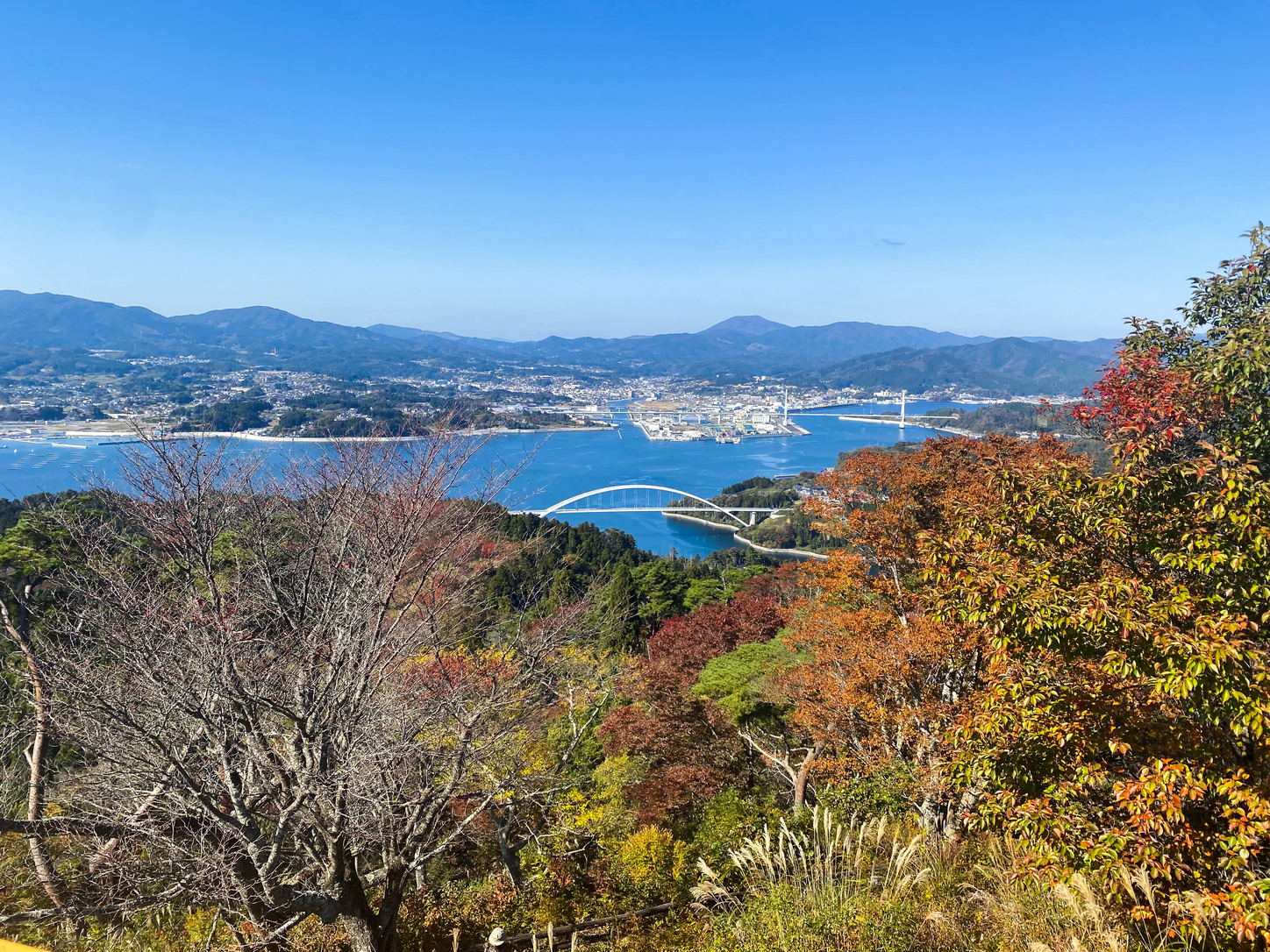 Tohoku Daytrip: Explore Kesennuma’s Oshima Island by Bicycle