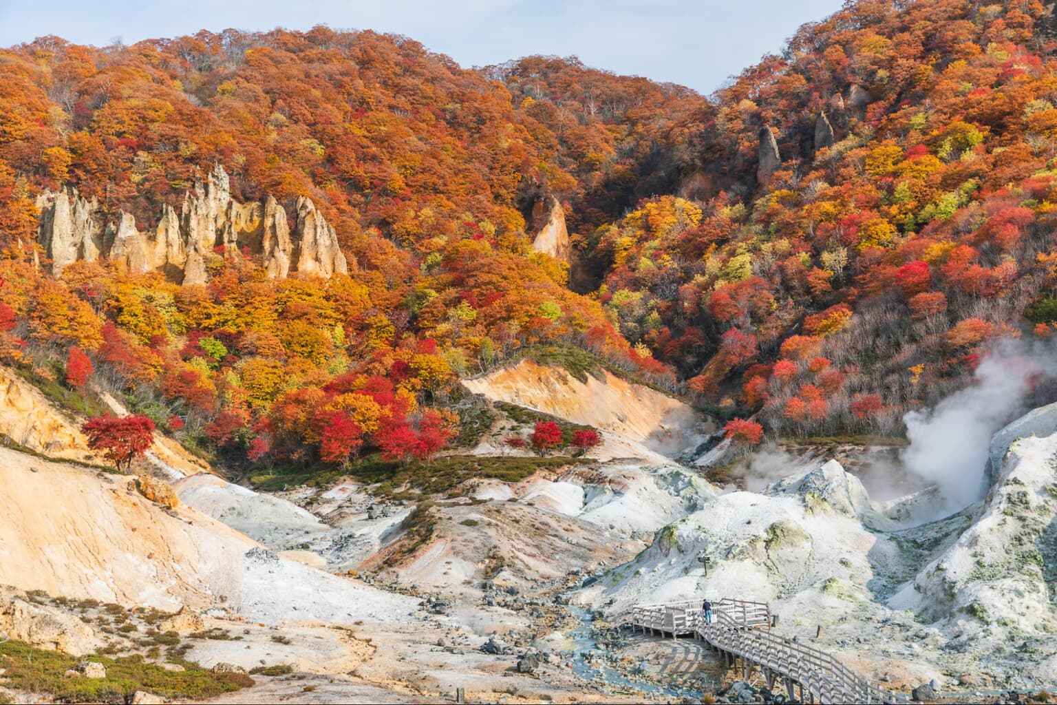 Hokkaido Travel Guide: 4 Places to See Fall Foliage (Koyo)