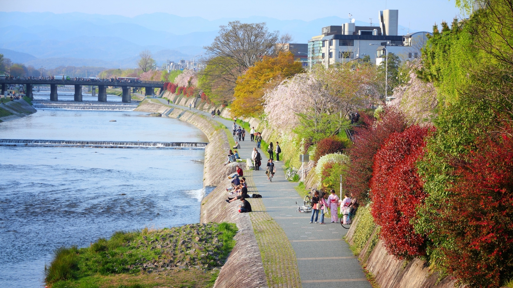 things to do in Kyoto