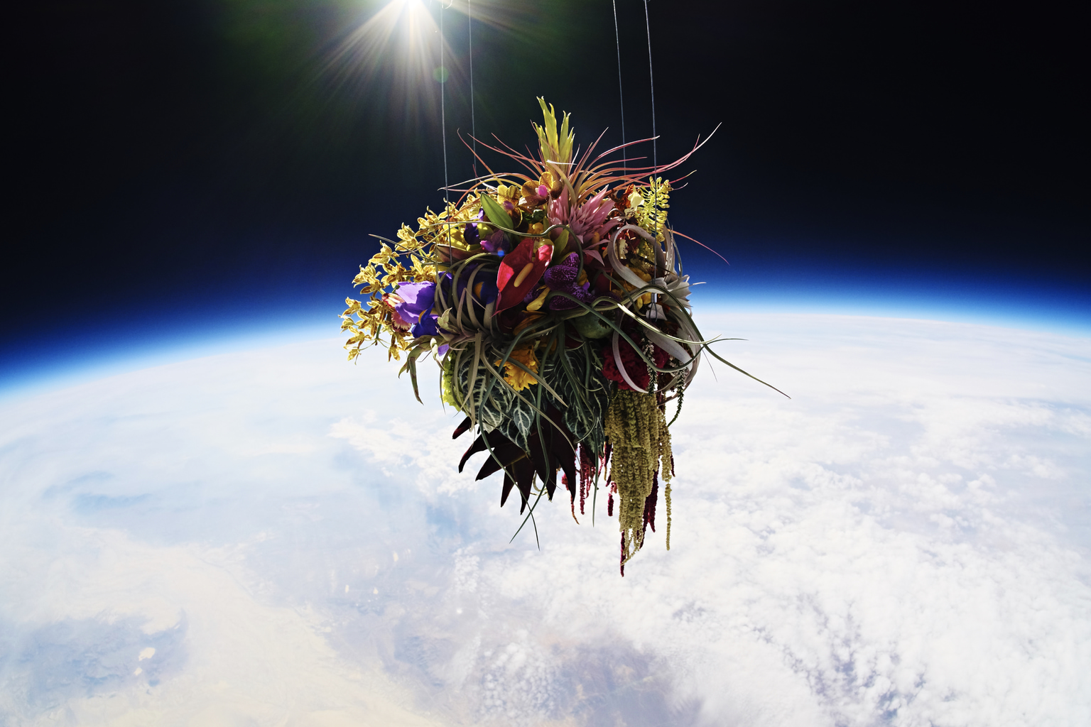 Flower Artist Makoto Azuma Sends His Bouquets Into the Stratosphere