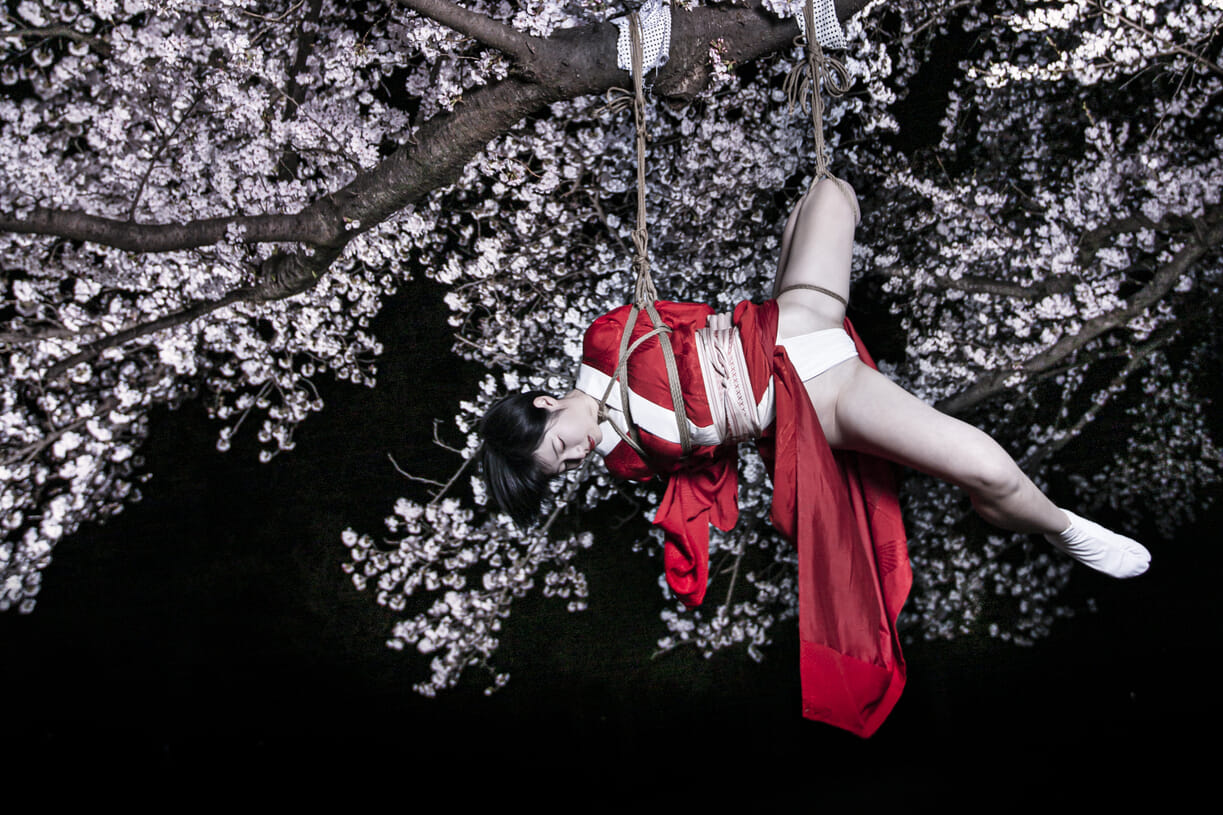Untangled: Shibari Artist Hajime Kinoko Ropes the World Into Art