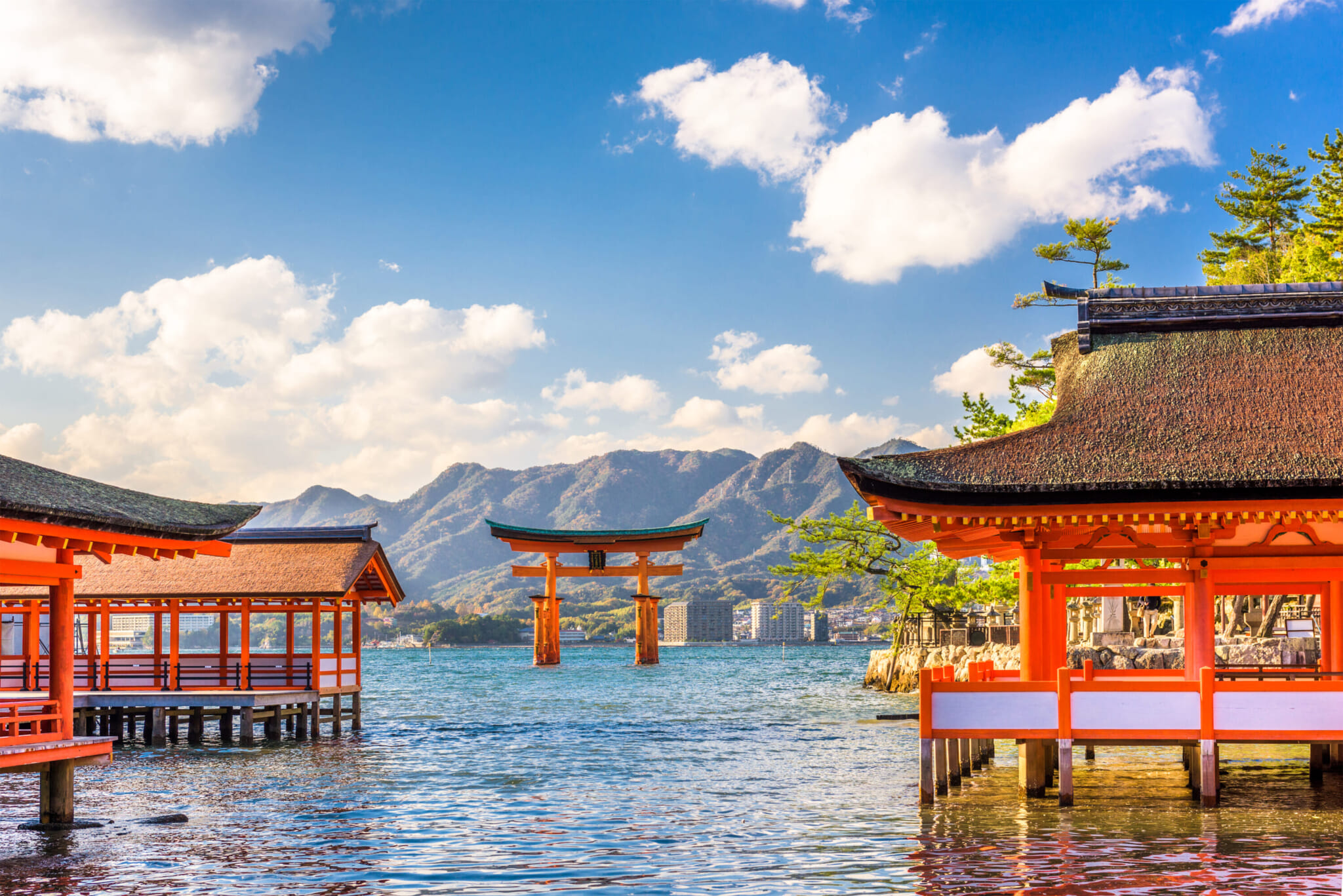 2 cities to visit in japan