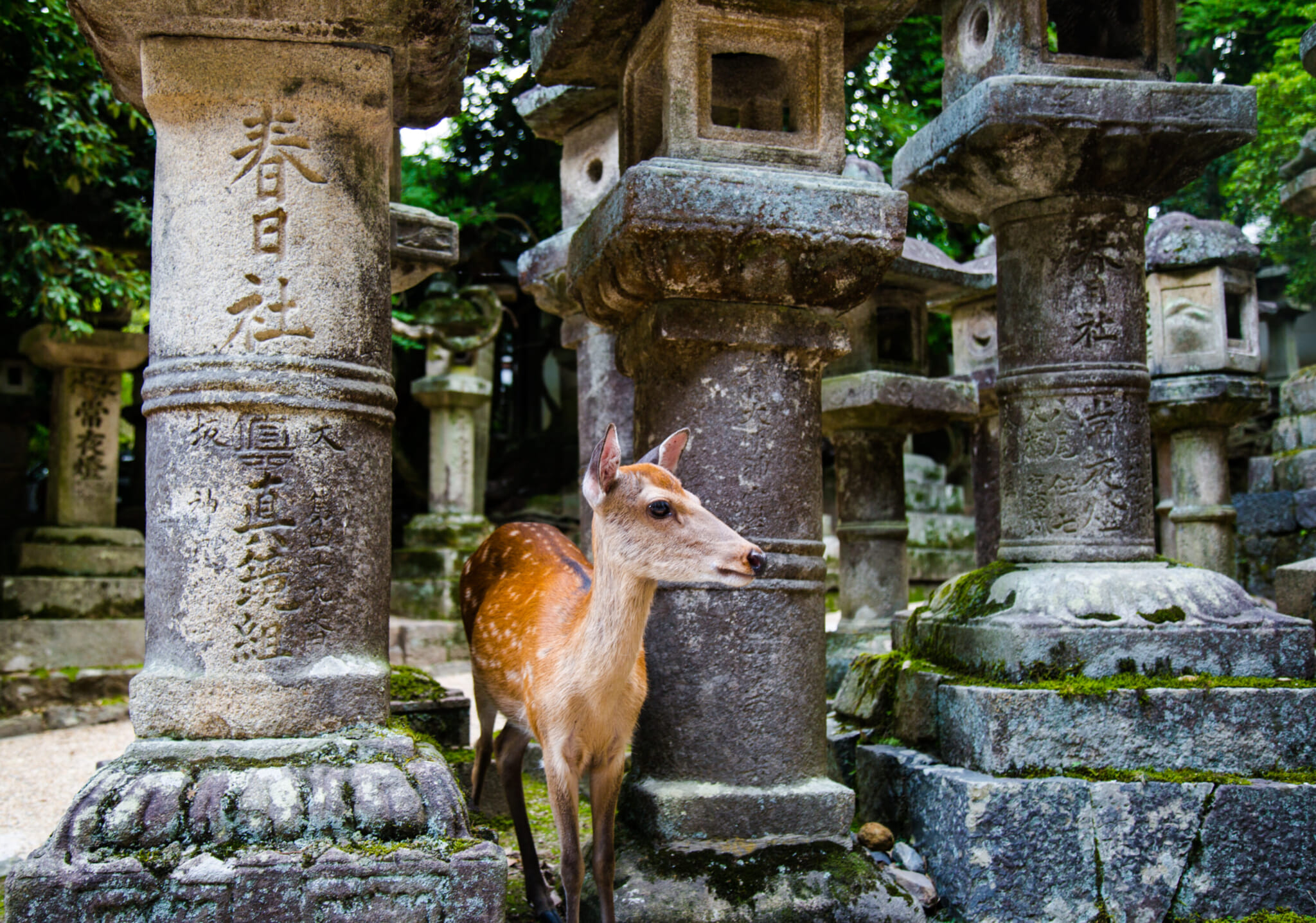 tourist city in japan