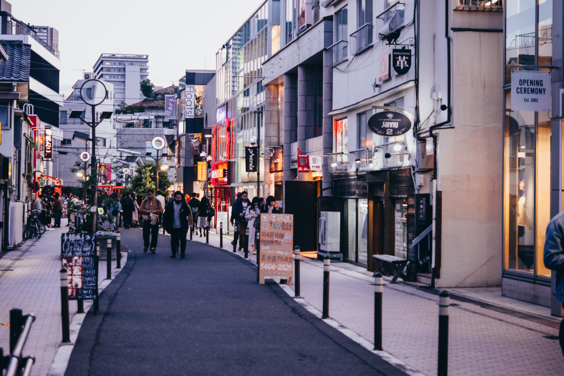 japan's biggest tourist attraction