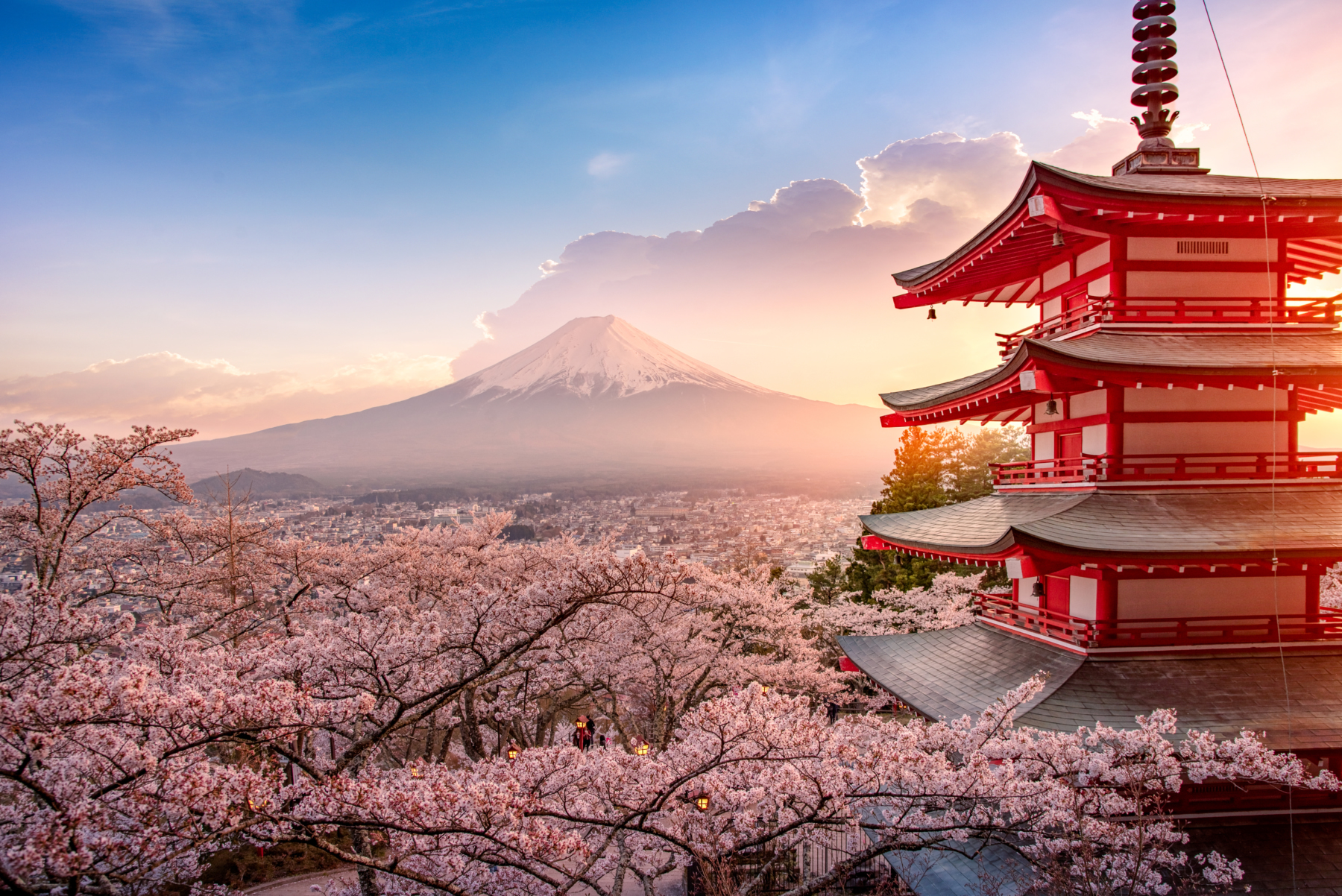Japan s 2023 Cherry Blossom Forecast Released Tokyo Weekender