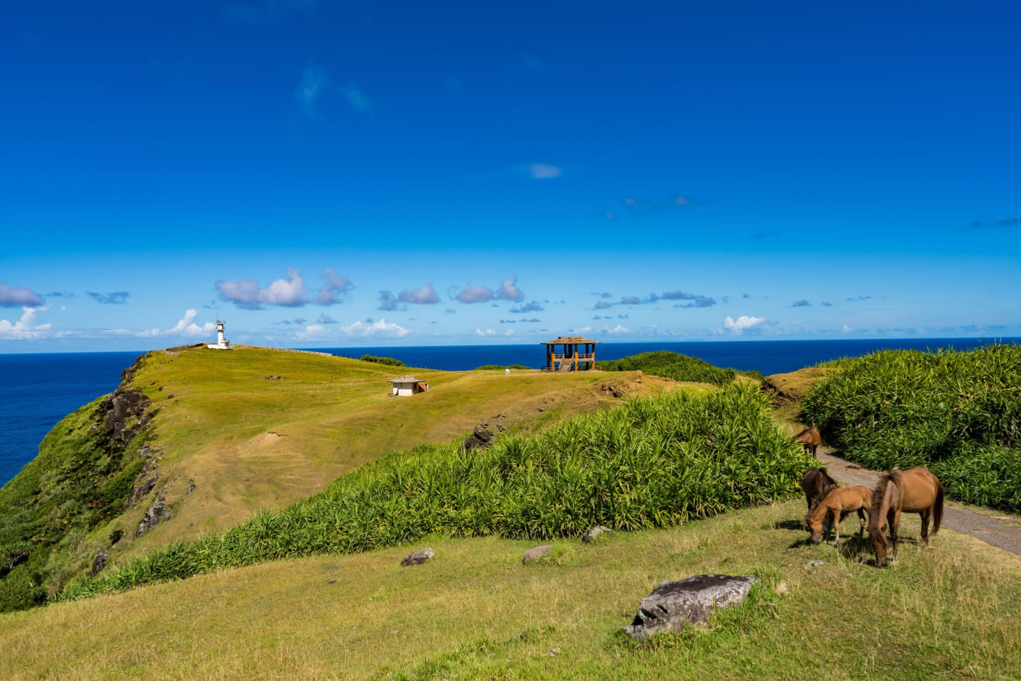 tourist attraction in okinawa japan