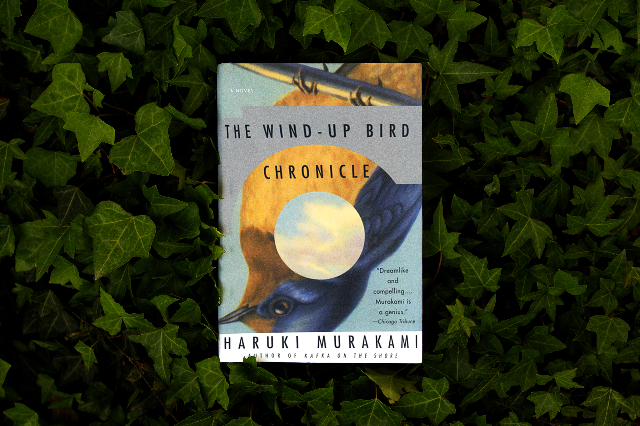Haruki Murakami has a new book out: Here's why you should care 
