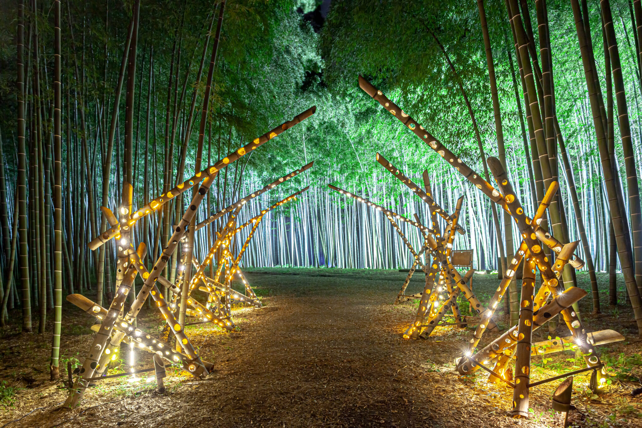 alternative bamboo forests japan