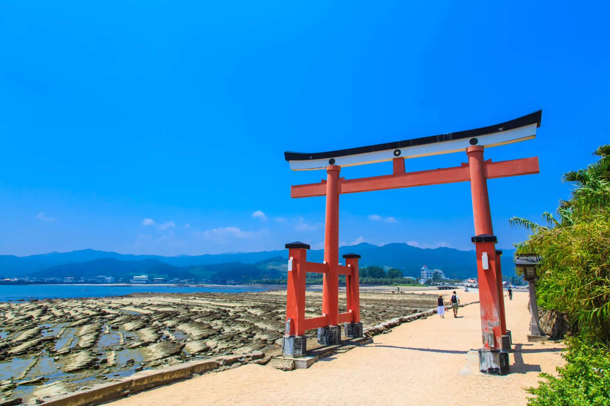 Aoshima Shrine  KYUSHU x TOKYO (JAPAN)