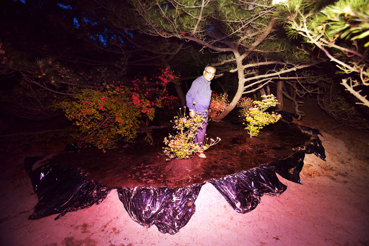 An bespectacled elderly man stands on a trash-bag covered hill of sand. He is surrounded by pine tree branches and shrubs, some of which bloom with red blowers. He stares at the camera with an uncertain expression. The image is dark in the background with a bright exposure over the man.