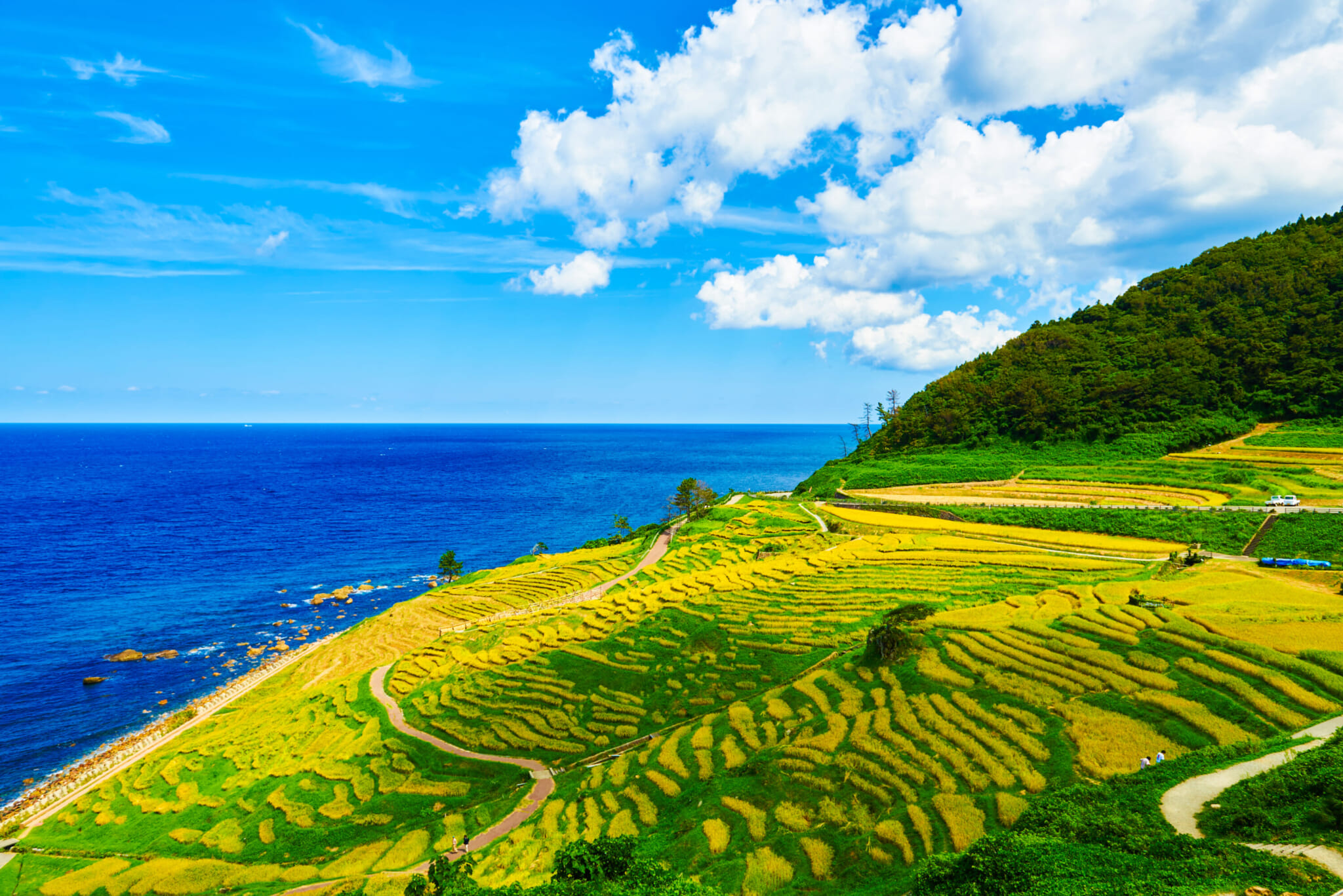 Shiroyone Senmaida rice terraces on wajima 