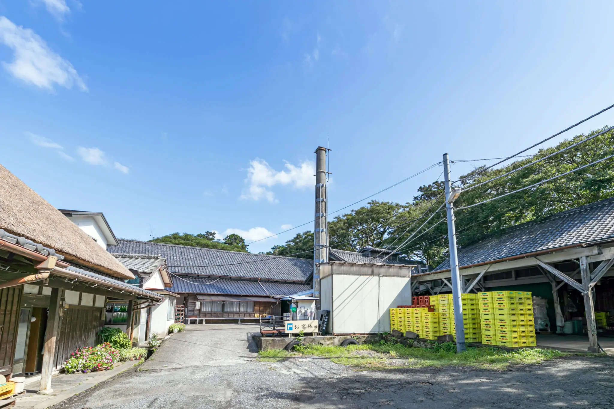 A Taste of Iwanoi Vintage Sake | Tokyo Weekender