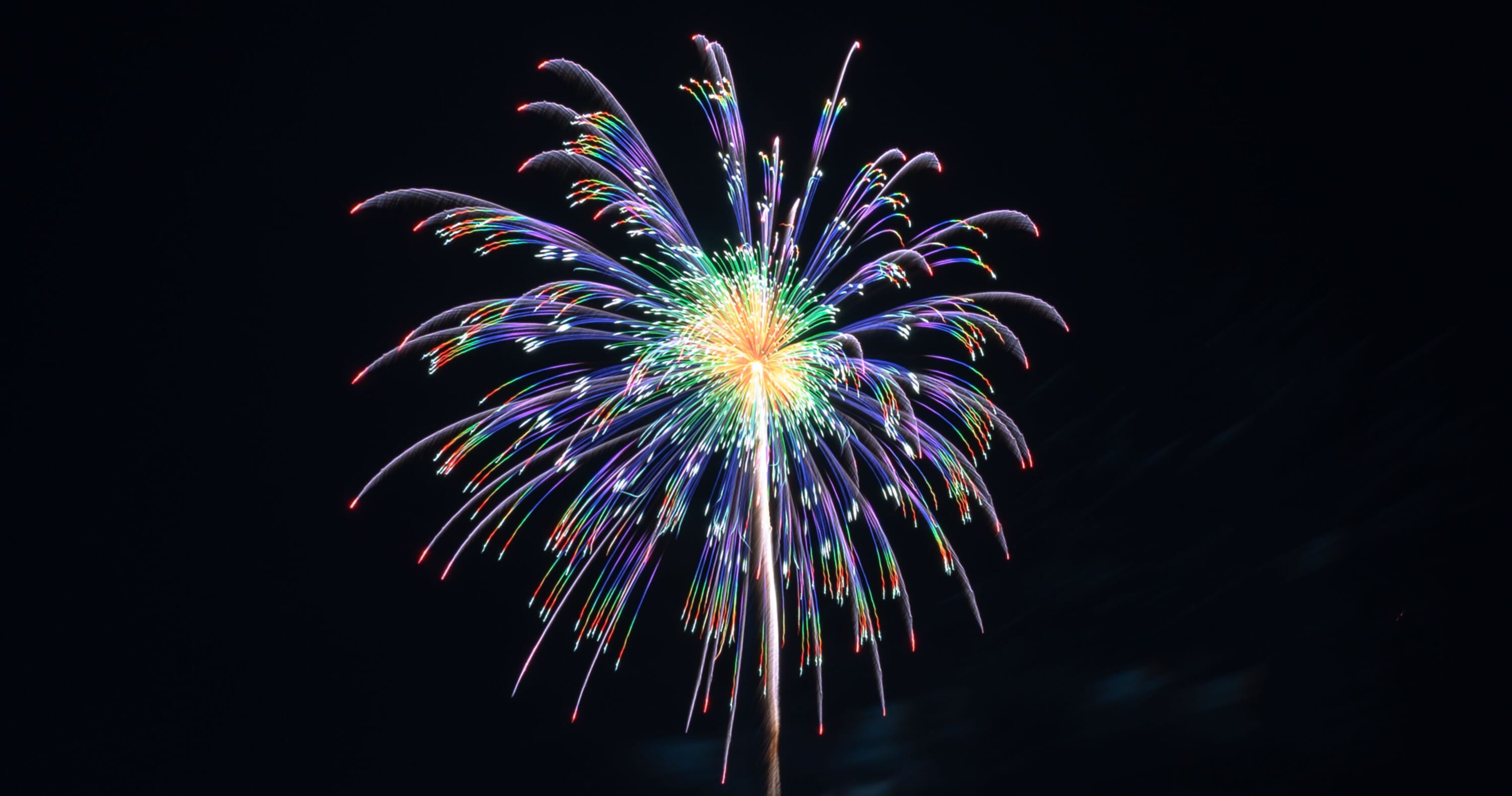 The Explosive Traditions and Innovations of Japanese Fireworks Displays