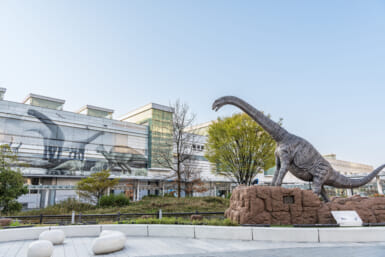 fukui dinosaur travel japan