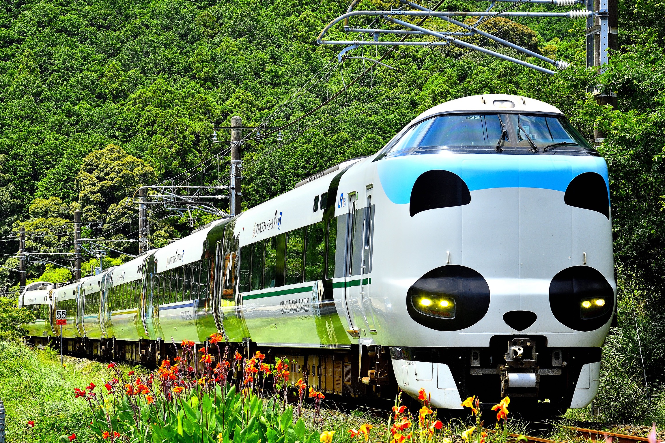 Cute Panda Train