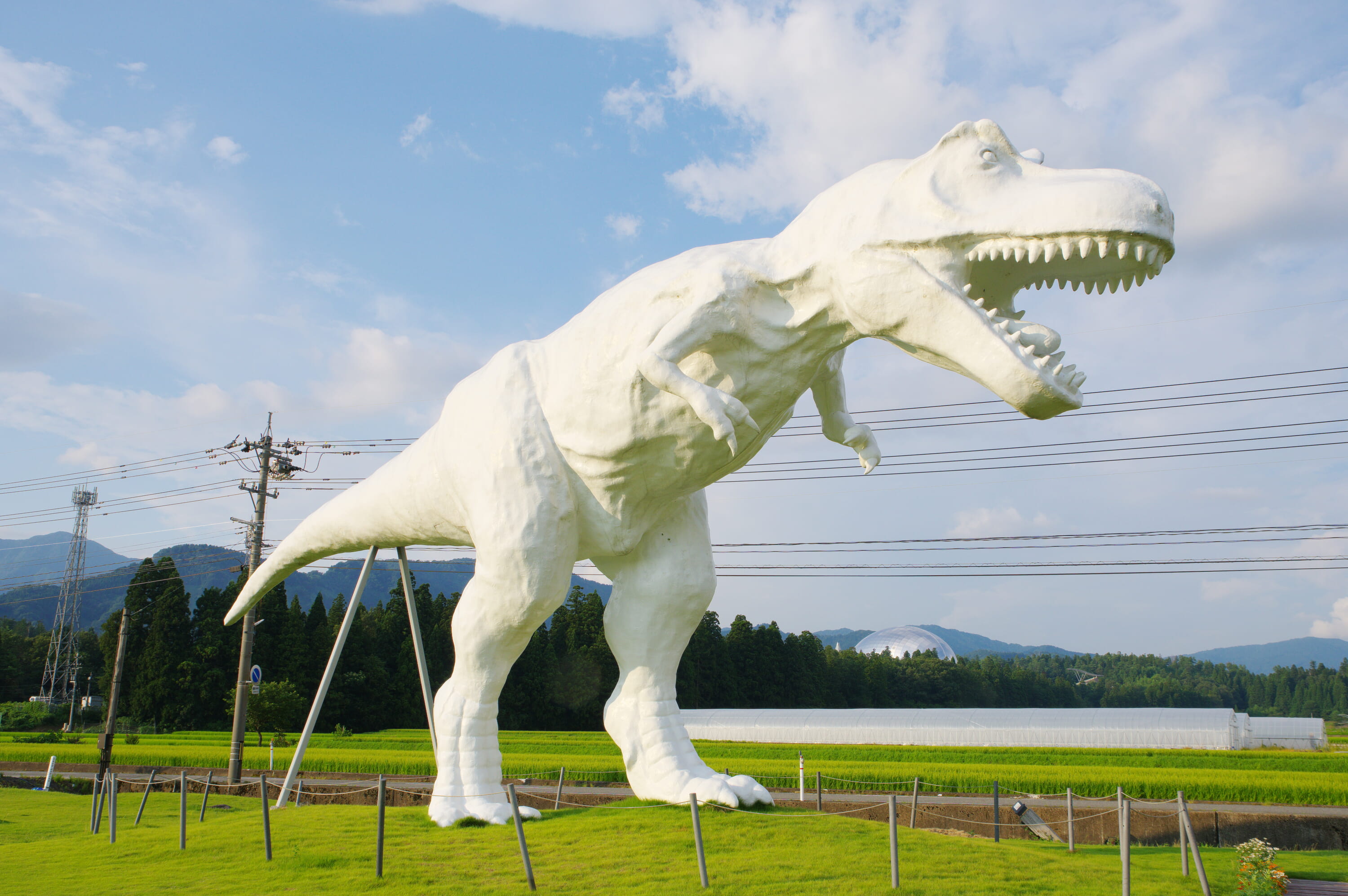Giant Dinosaur Statue Japan