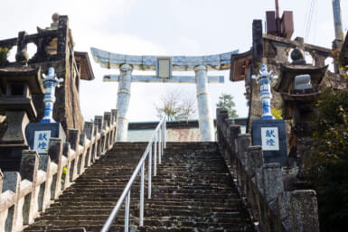 unusual torii gates japan Tozen Shrine | Photo by Amehime via Shutterstock.