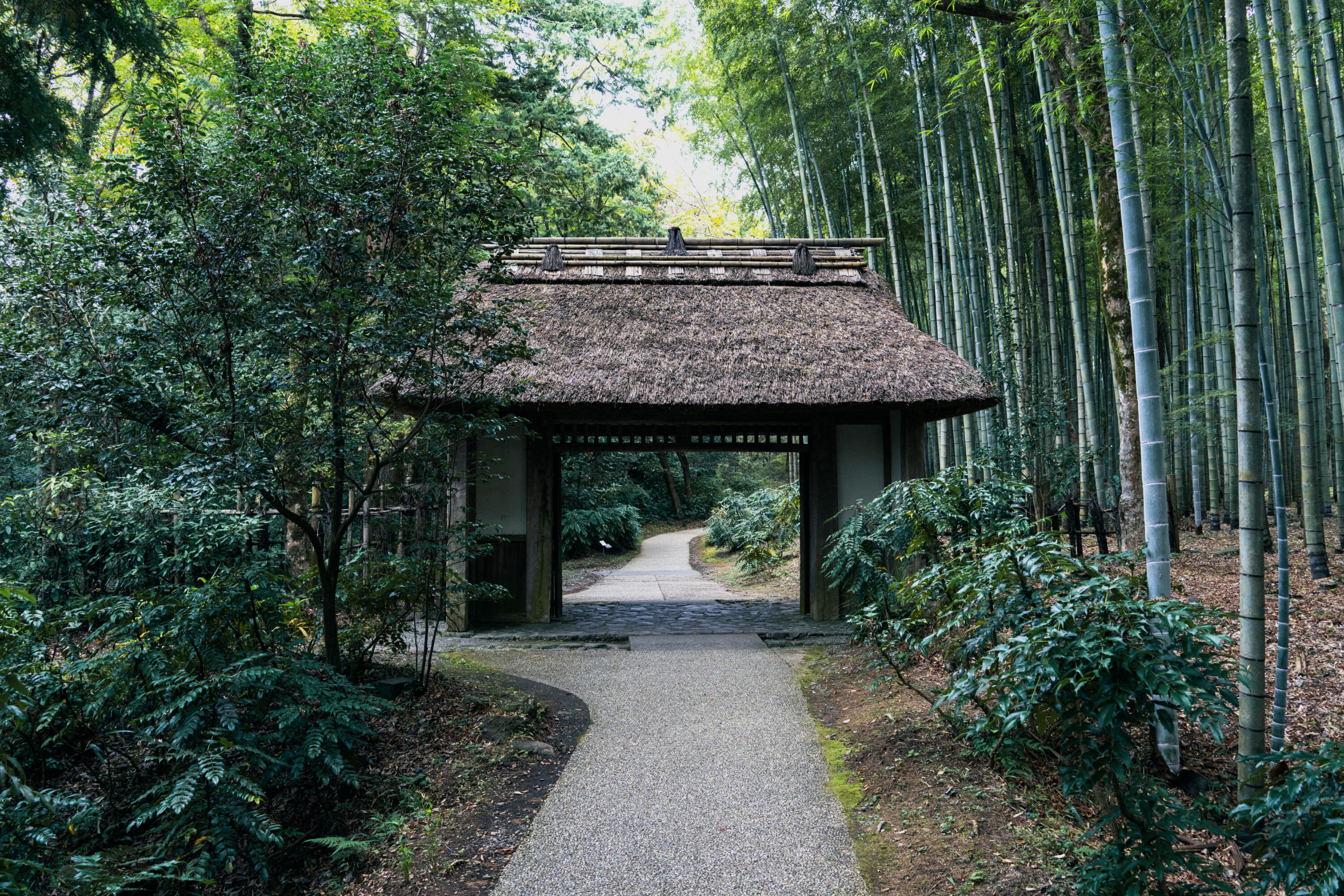 Things to do at Gotemba