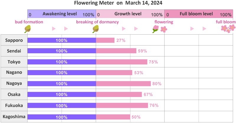Cherry Blossom season japan forecast meter