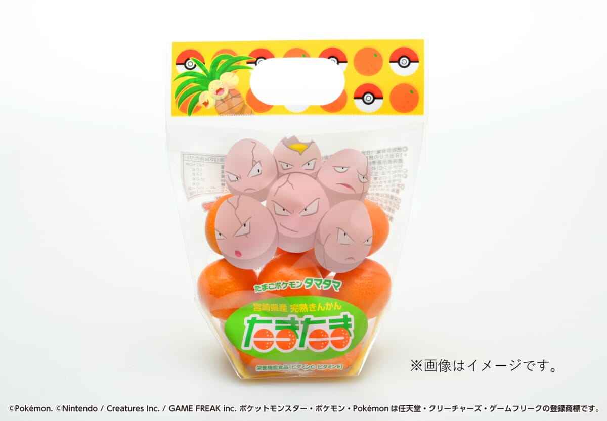pokemon miyazaki kumquat