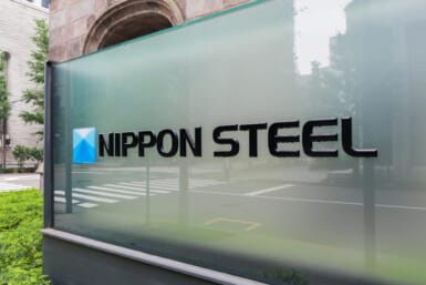 nippon steel bones found