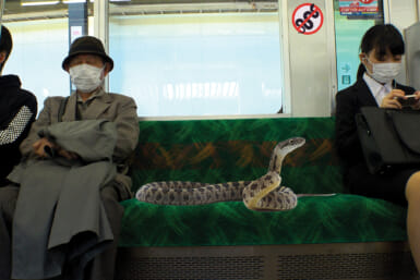 snake on a train japan
