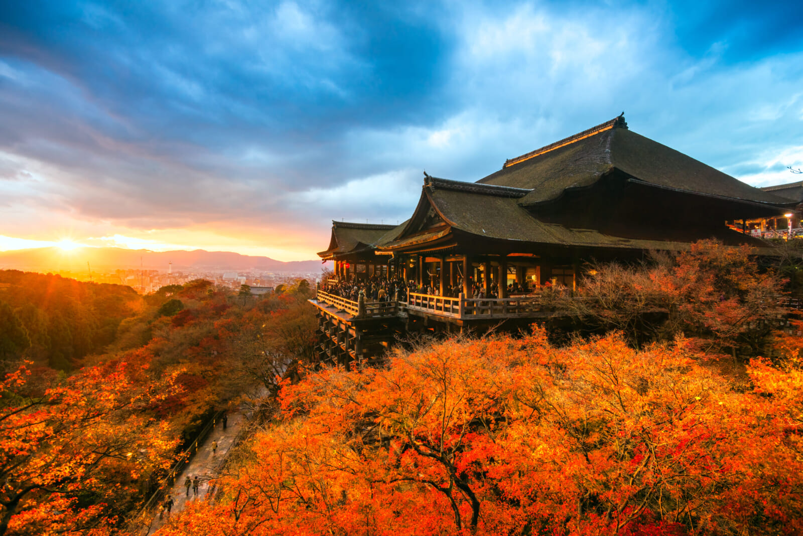 best things to do in japan in november
