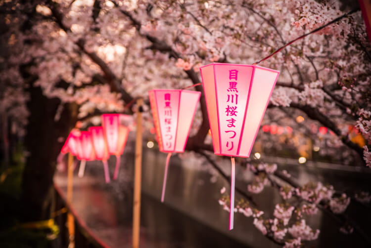 2026年】東京の夜桜スポット｜おすすめライトアップ名所まとめ