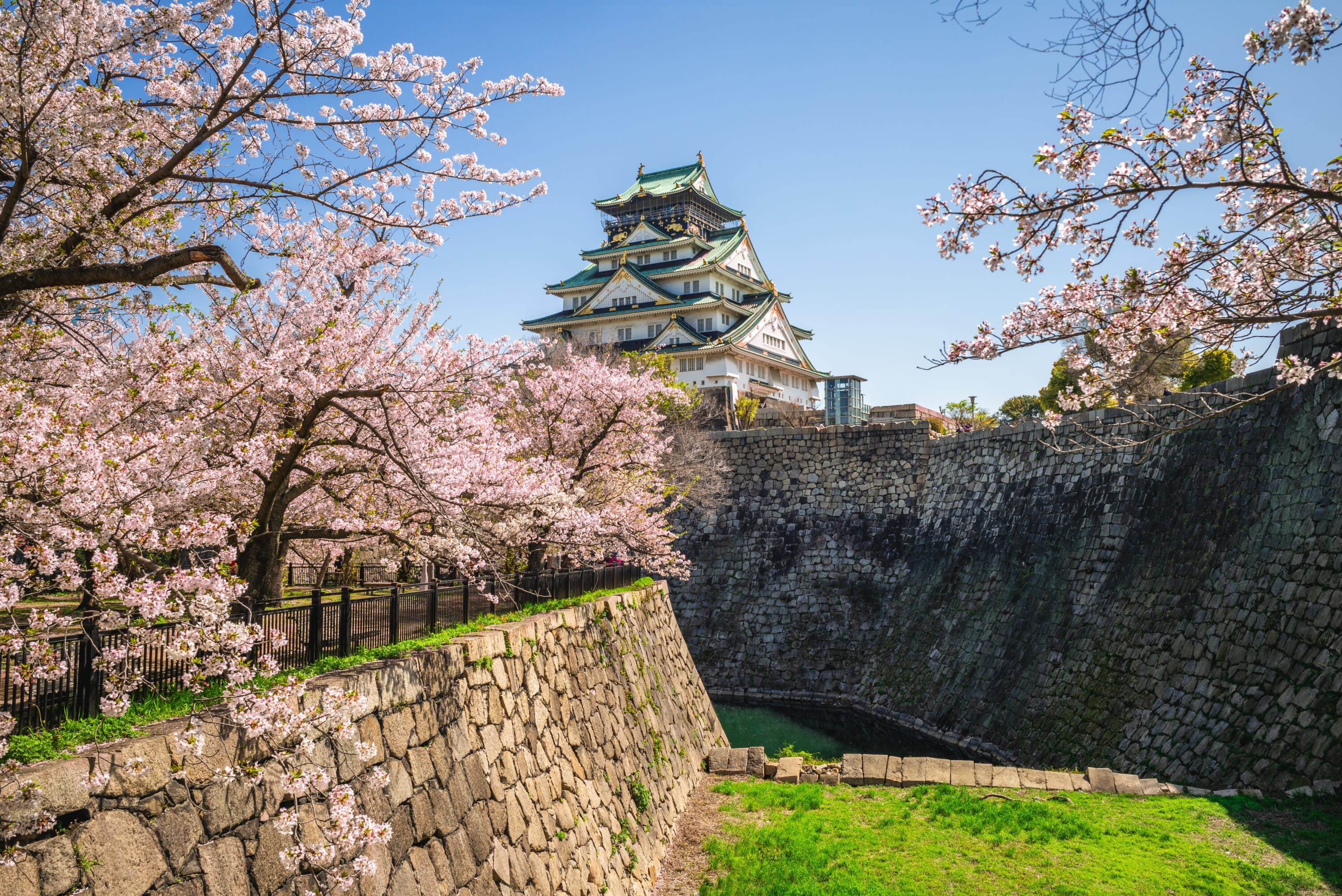 2026年】大阪の桜名所｜定番から穴場までお花見完全ガイド