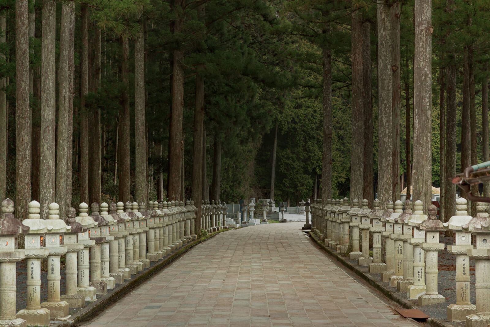 mount koya koyasan