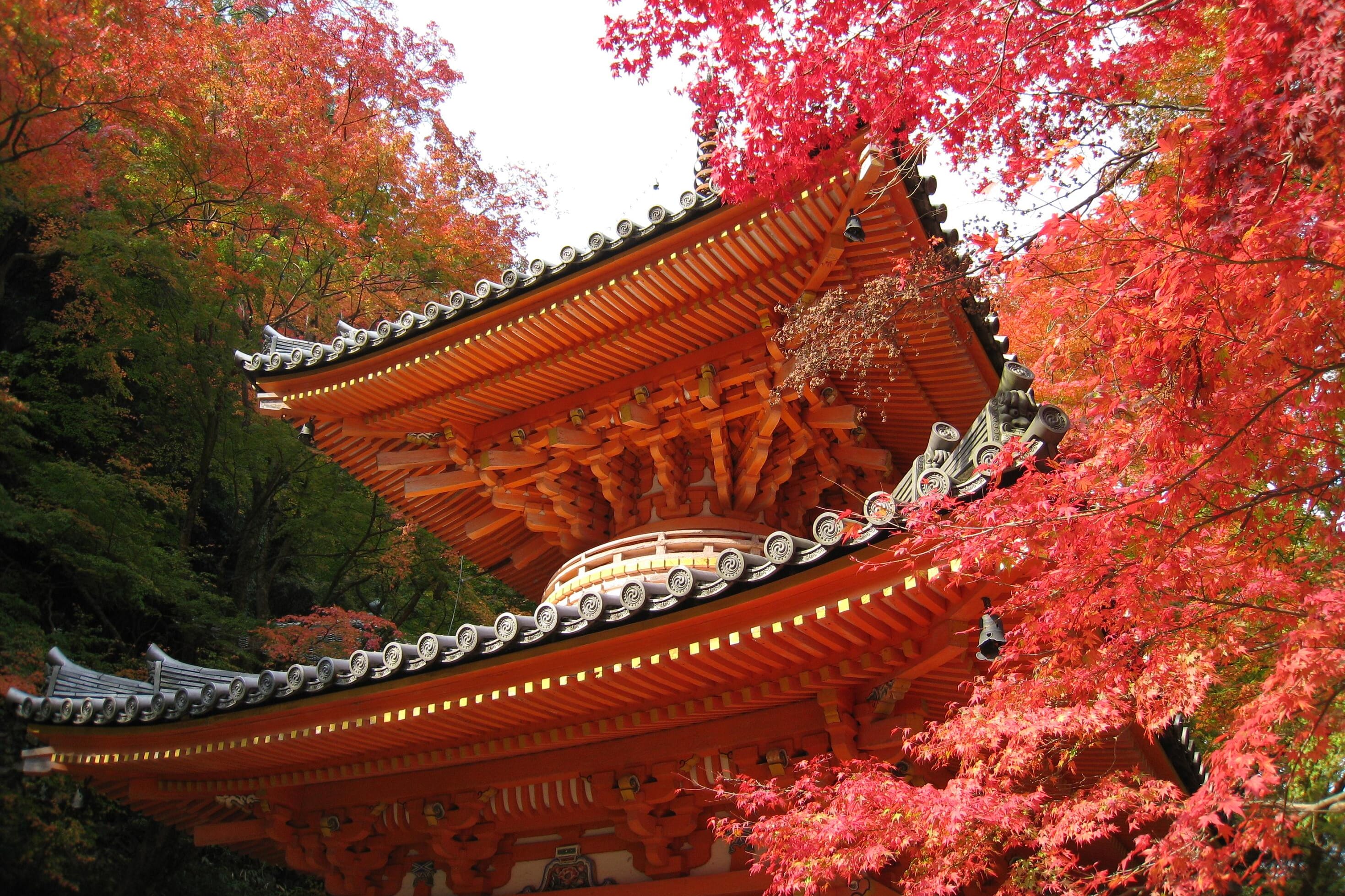 osaka fall foliage