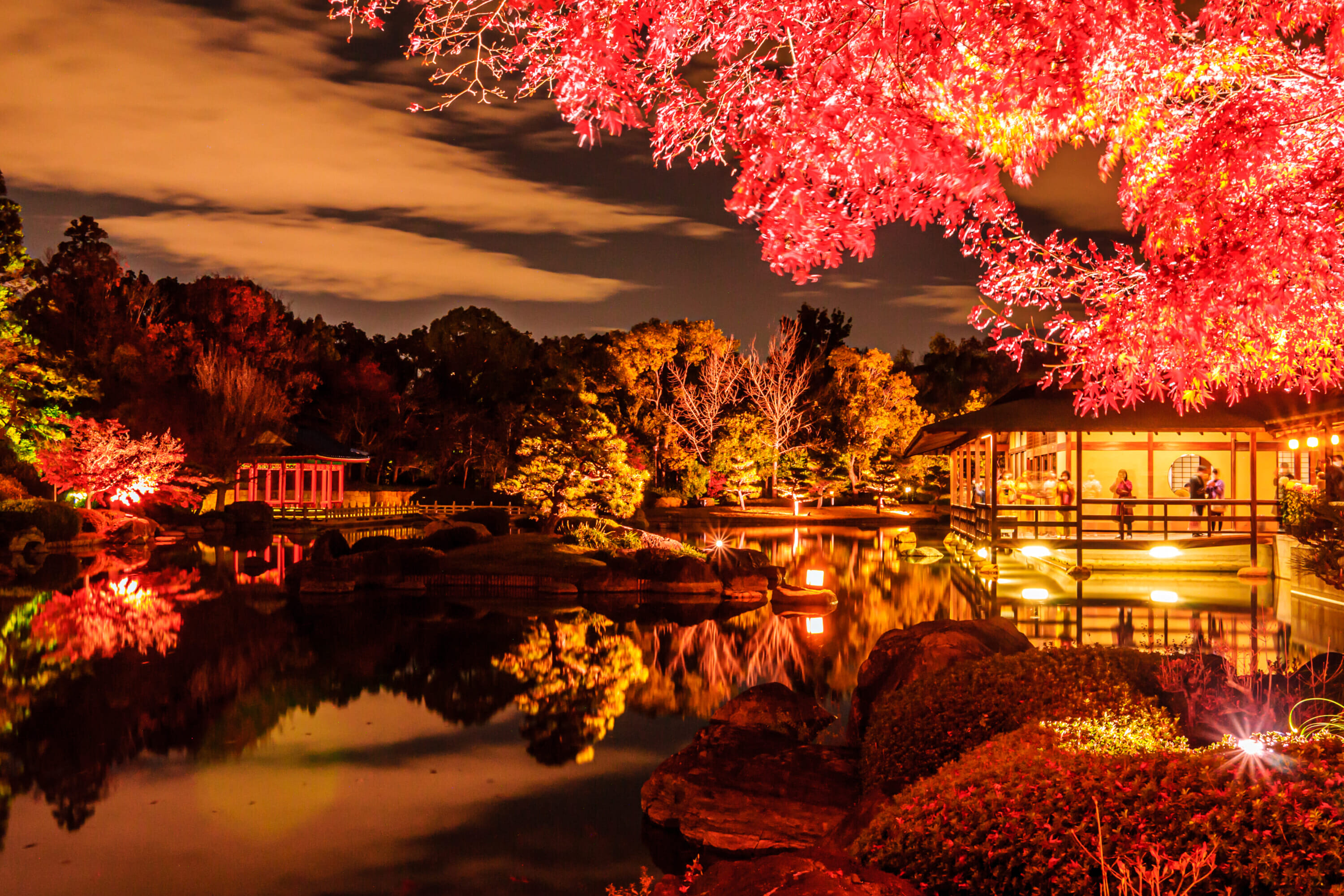 osaka fall foliage daisen park