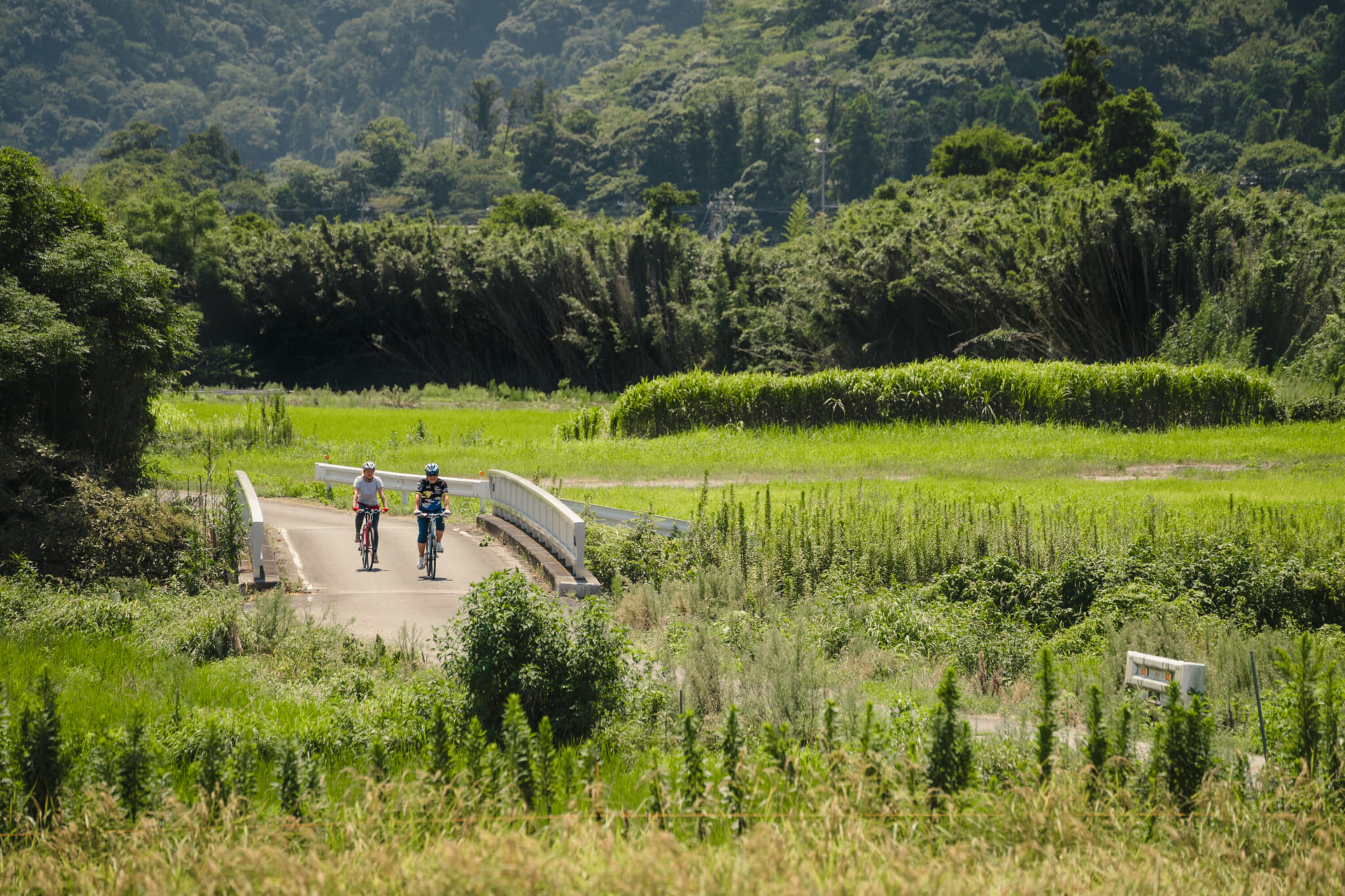 awa chiba cycling biking