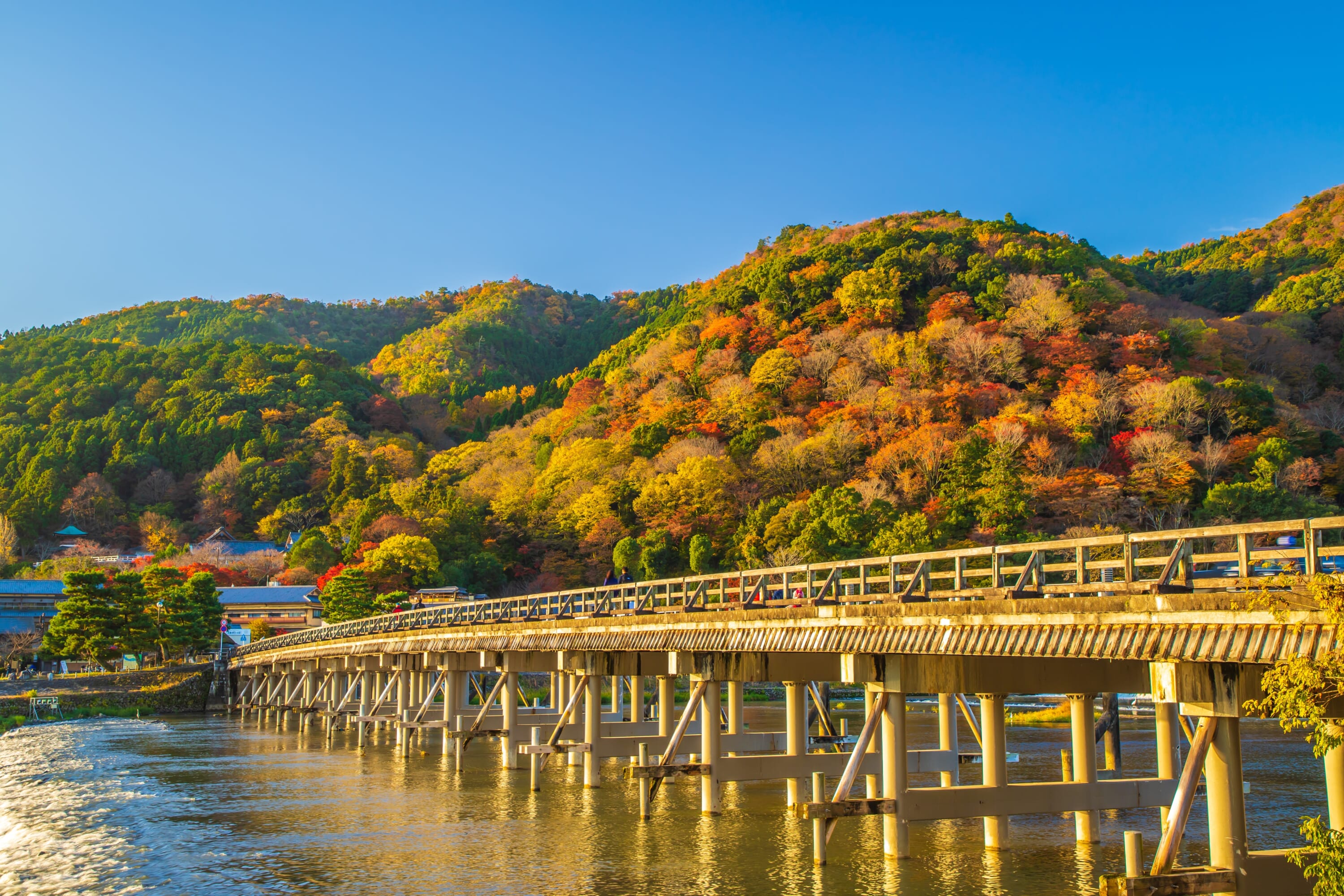 arashiyama autumn fall