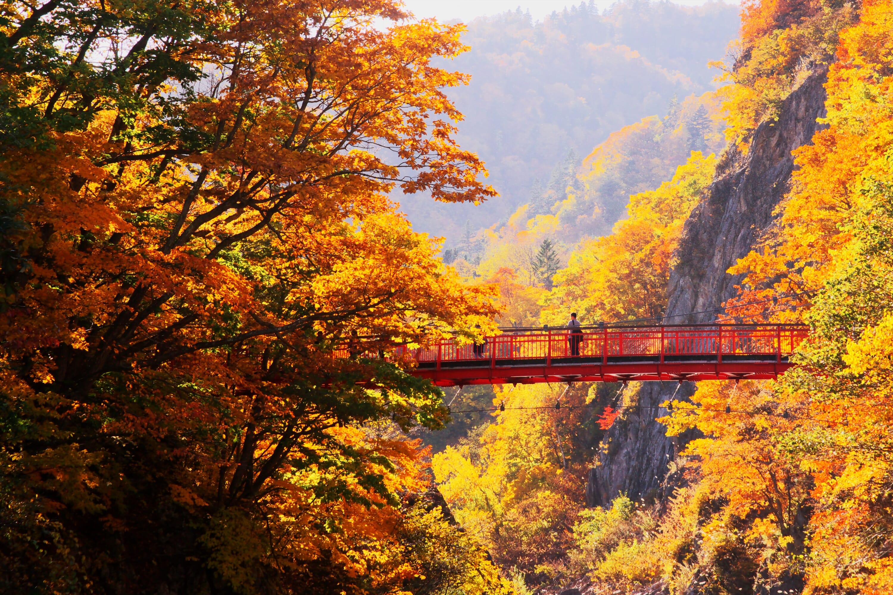 fall foliage across japan