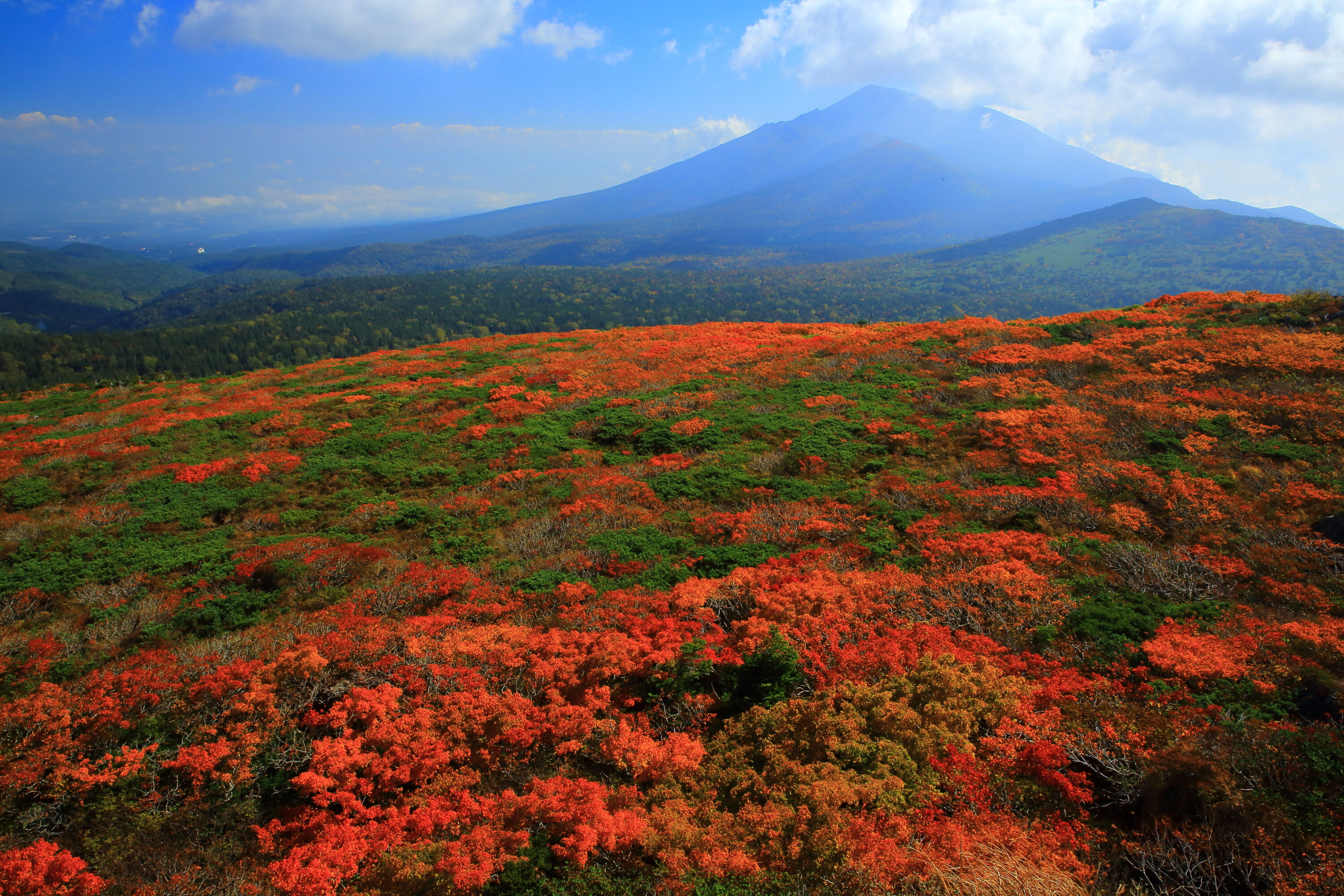 fall foliage across japan