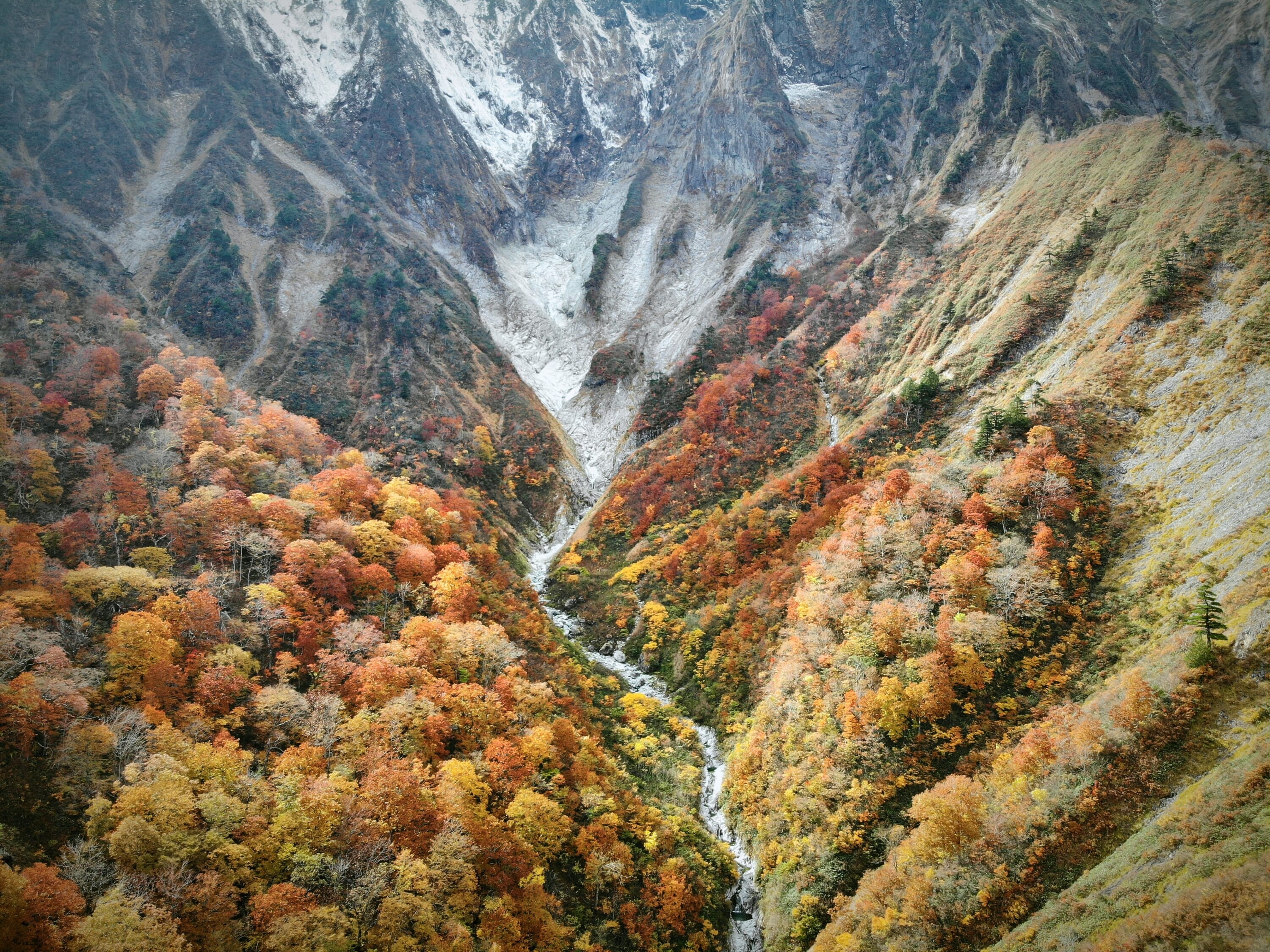 fall foliage across japan