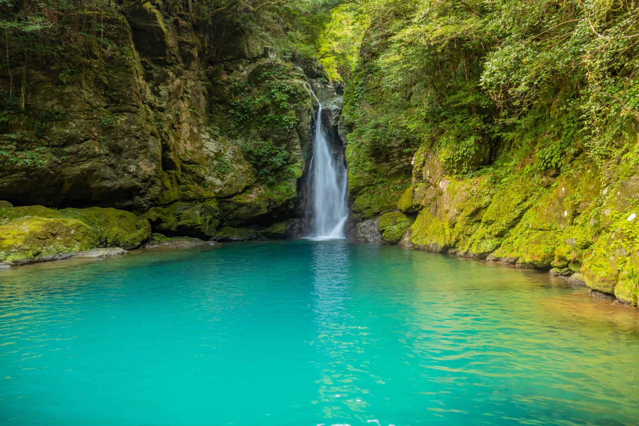 things to do in kochi prefecture