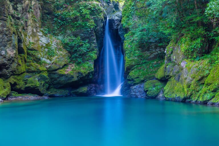 things to do in kochi prefecture