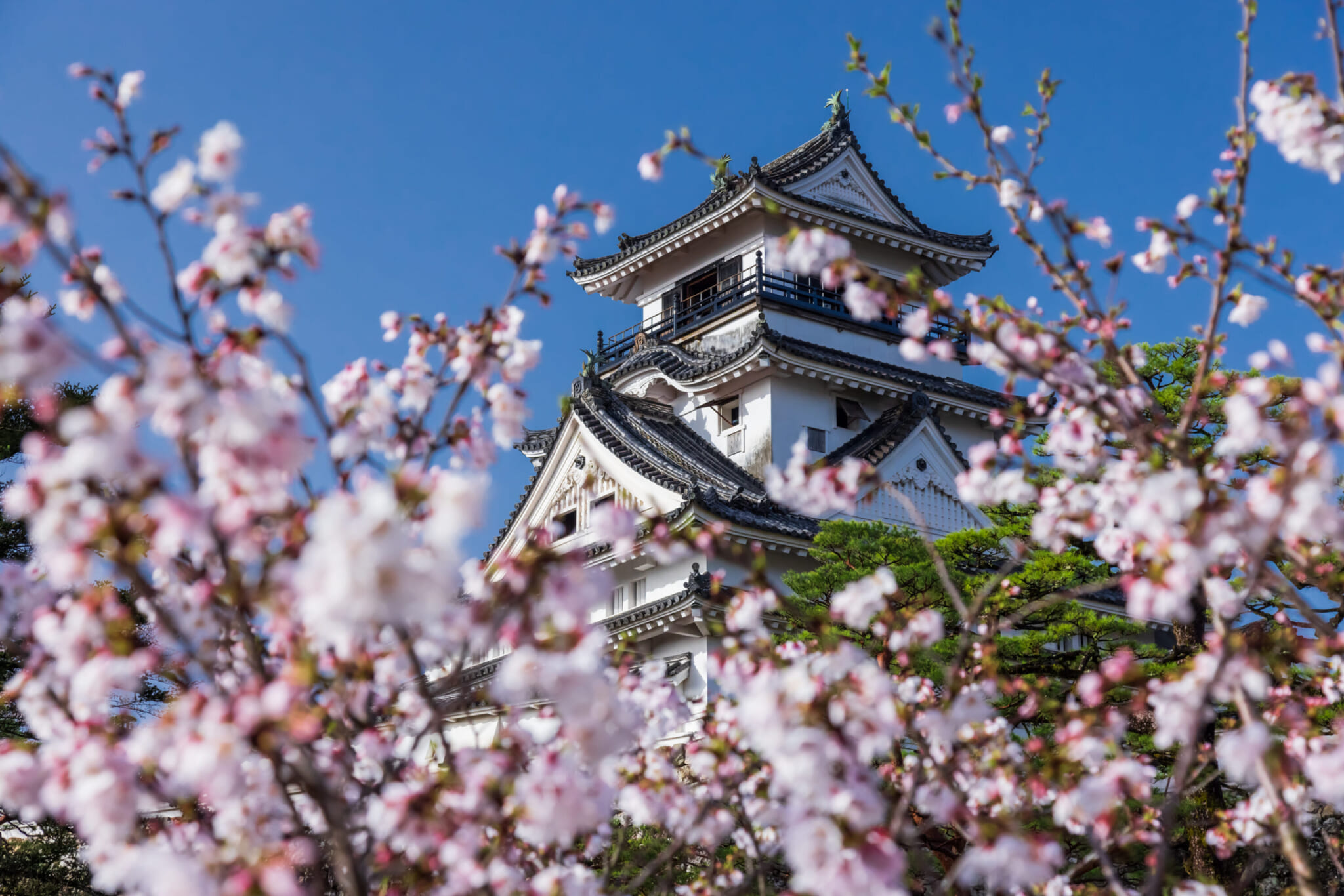 KOCHI CASTLE. PHOTO CREDIT: (C) VISIT KOCHI JAPAN