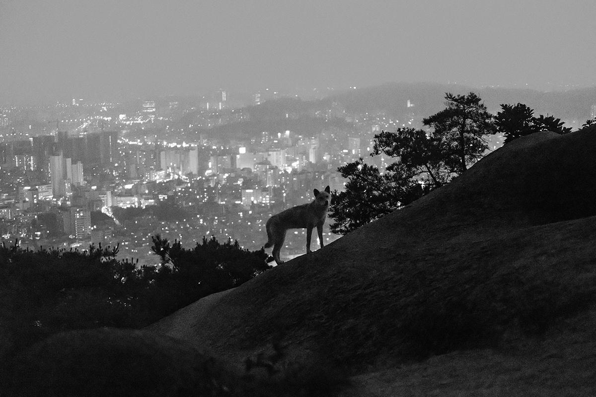 doyeon gwon t3 photo asia