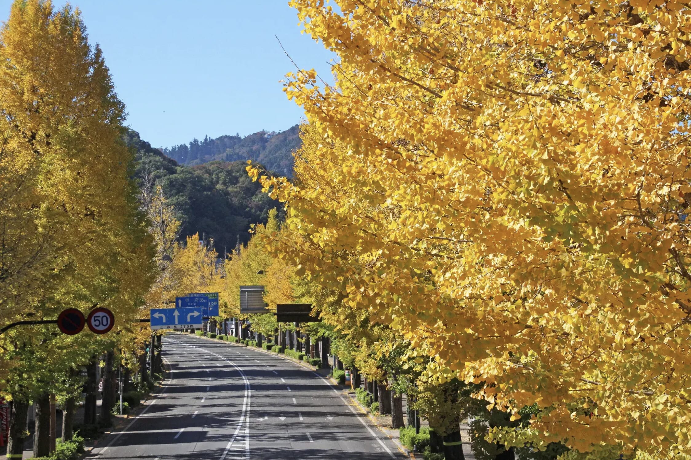 komazawa olympic park