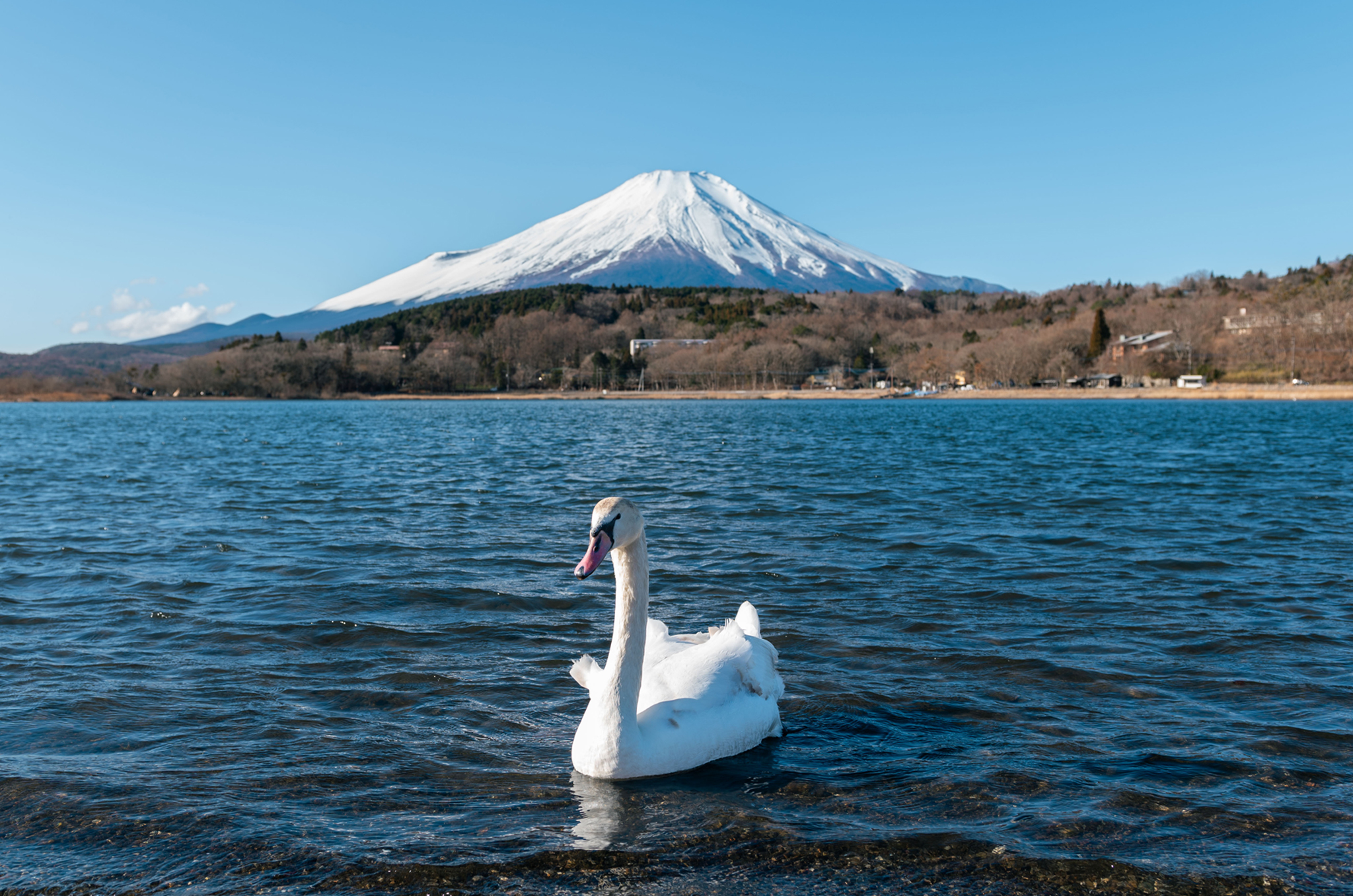mount fuji first snow
