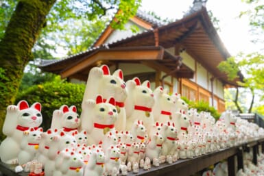 gotokuji cat temple tokyo best temples