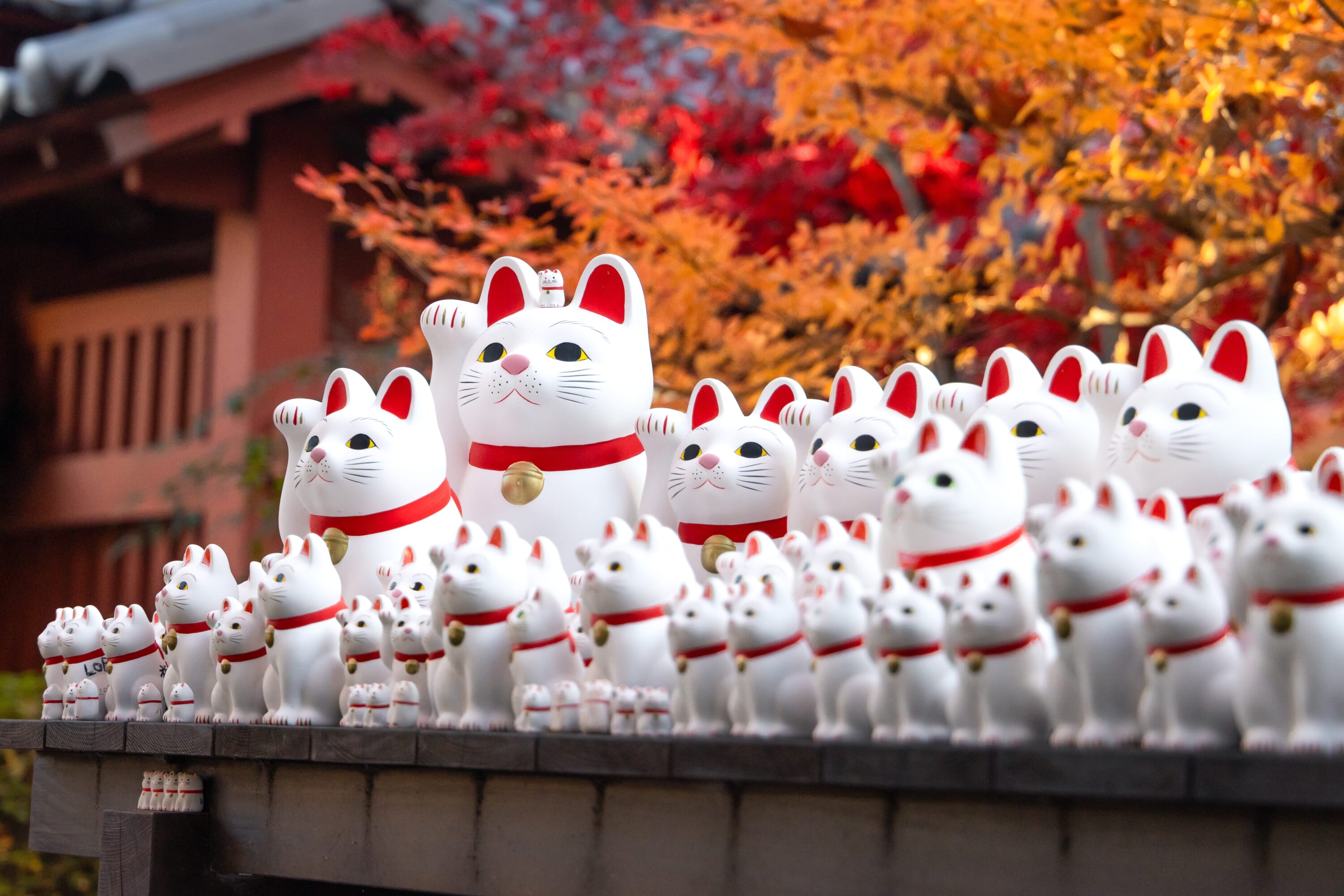 gotokuji cat temple