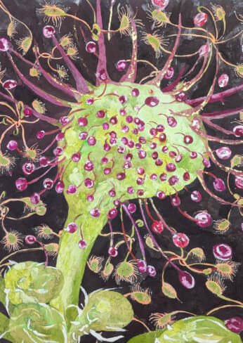 tokyo art shows november exhibitions galleries