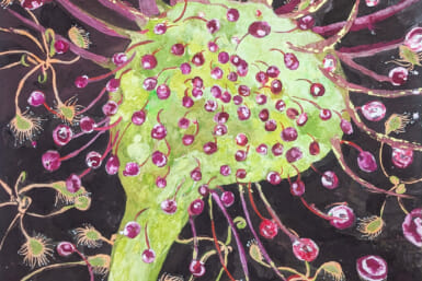 tokyo art shows november exhibitions galleries